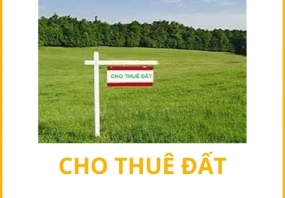 Cho thuê Đất