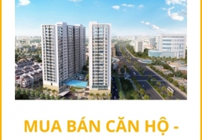Mua Bán Căn Hộ - Chung Cư