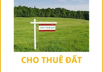 Cho thuê Đất