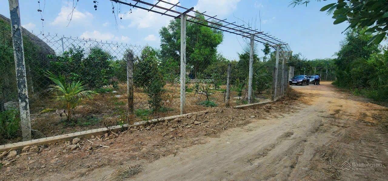 Bán 1 mẫu vườn sinh thái ven sông Sài Gòn view Rạch TP. Bến Cát. DT (73 x 143m)
