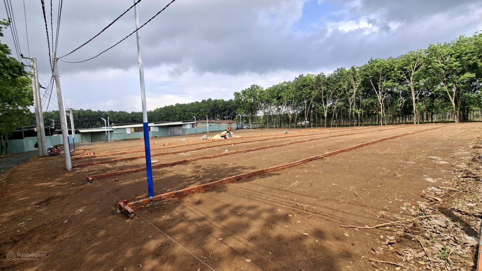 Bán đất 245m2 tại Ấp Minh Lập 4, xã Nha Bích, Thành phố Đồng Nai, chỉ với 270 triệu