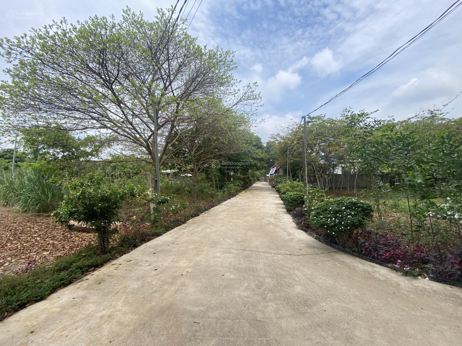 Bán đất tại Ấp 10, Tỉnh Lộ 764, 150m2, 500 triệu siêu hot