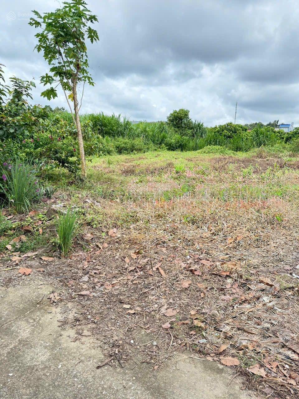 Đất ngộp Trương Công Định, Tân Phú, Đồng Nai 3,4 tỷ, 1520m2, giá tăng cao trong tương lai