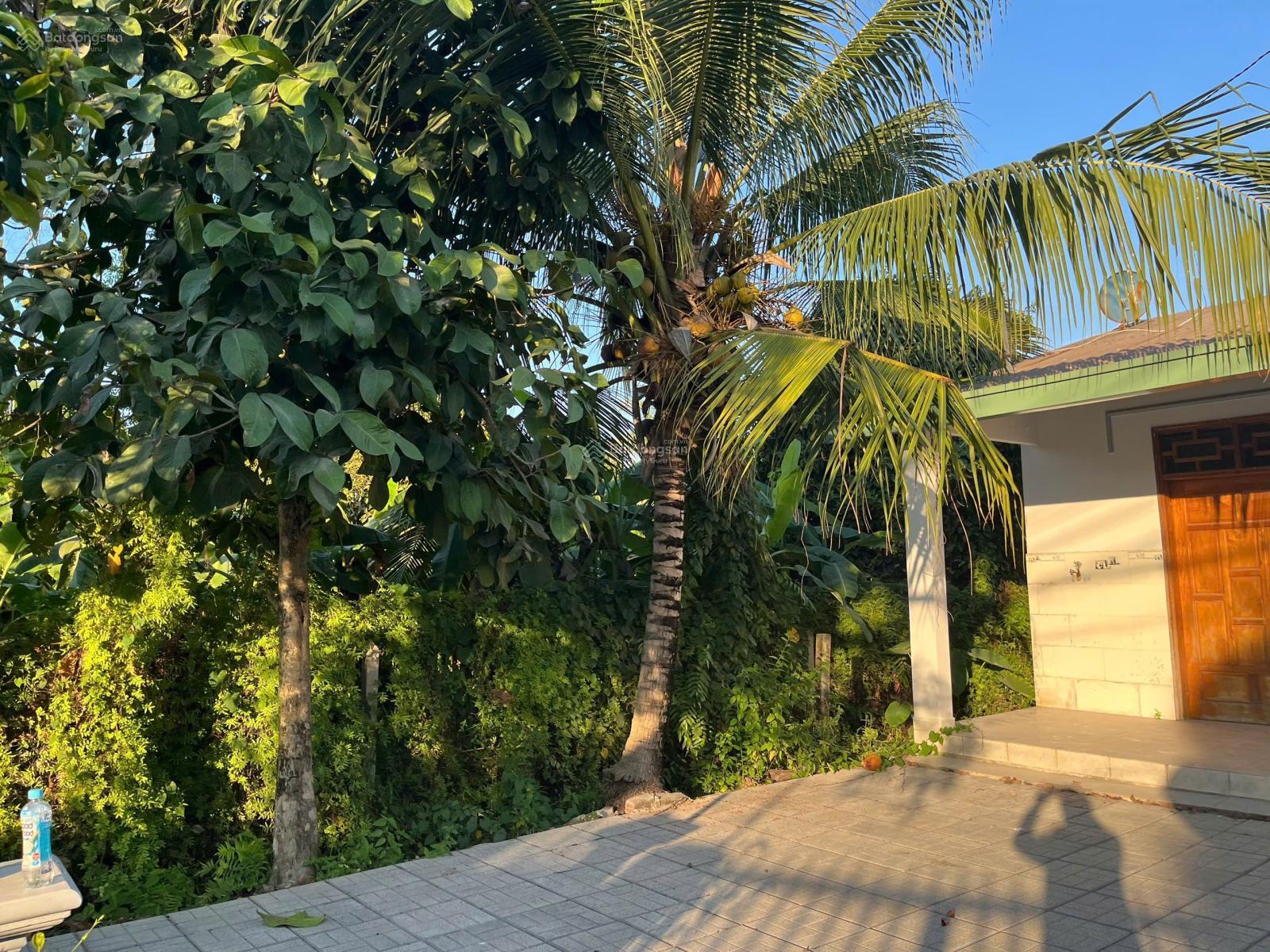 Bán vườn măng cụt mặt tiền An Sơn 02, kế bên Vành Đai 3, DT 1190m2 thổ cư 200m2, giá rẻ 9 tỷ 800tr